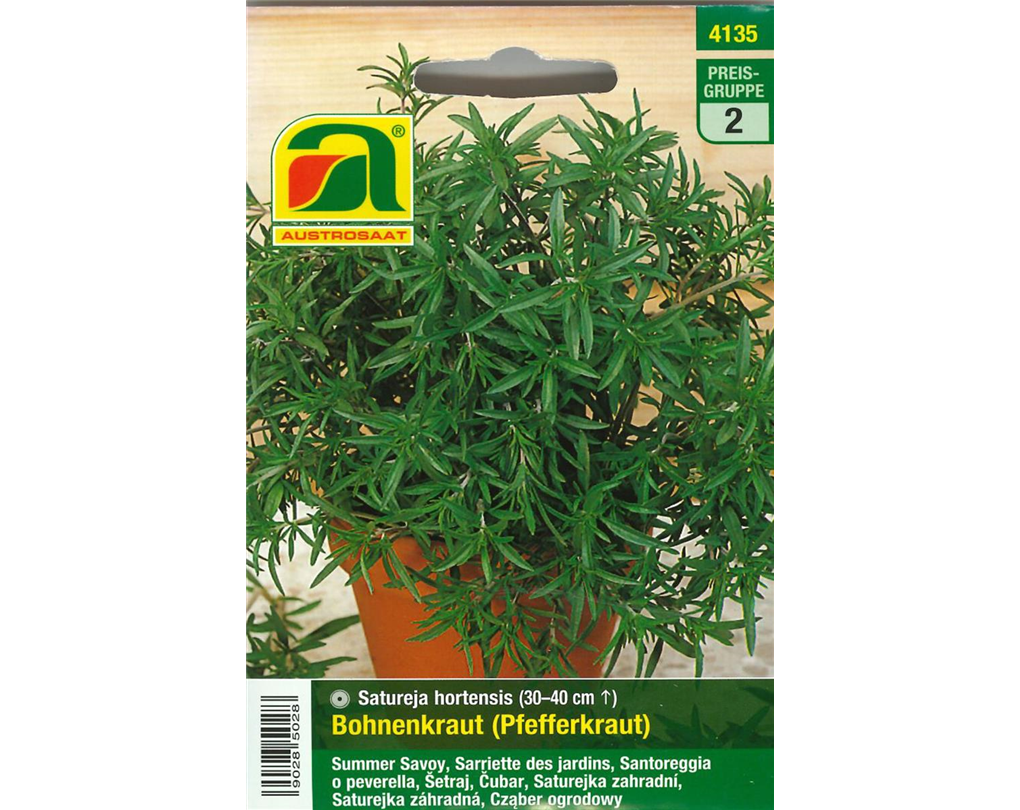 Semi di Santoreggia annua (Satureja hortensis