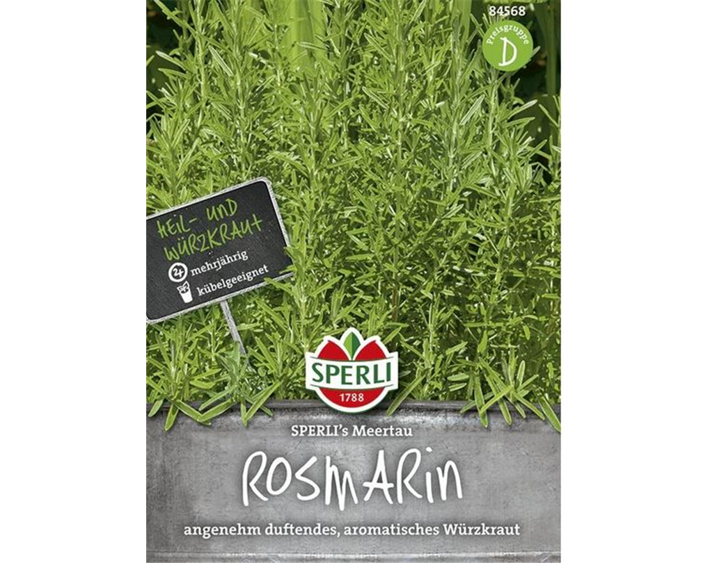 Rosmarin 'Meertau', Rosmarinus officinalis 'Meertau' - Seebauer Rosmarin 'Meertau', Rosmarinus officinalis 'Meertau' - Seebauer