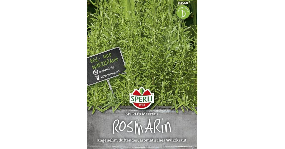 Rosmarin &amp;#39;Meertau&amp;#39;, Rosmarinus officinalis &amp;#39;Meertau&amp;#39; - Seebauer