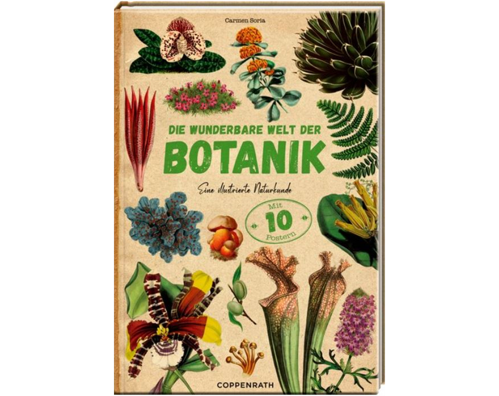 Die wunderbare Welt der Botanik, Eine illustrierte Naturkunde Seebauer
