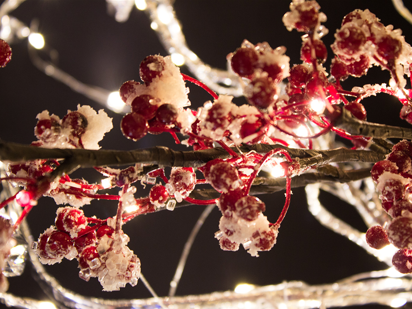 Weihnachtsbeleuchtung München Gartencenter Seebauer