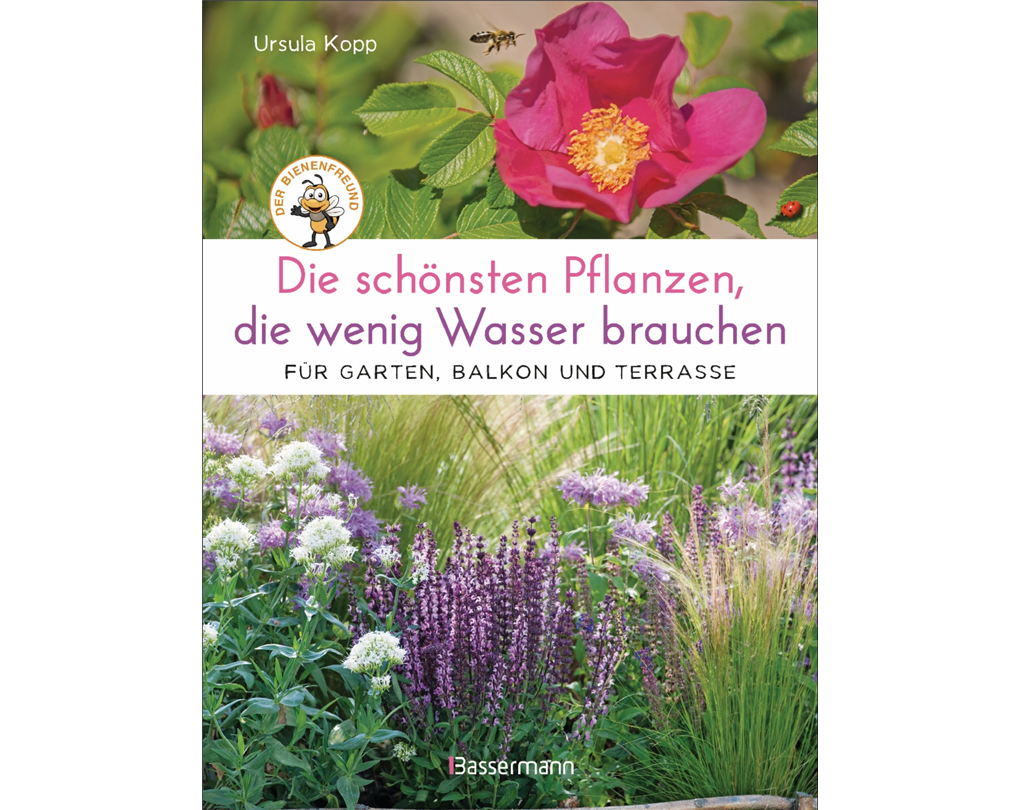 Die schönsten Pflanzen, die wenig Wasser brauchen, Für Garten, Balkon