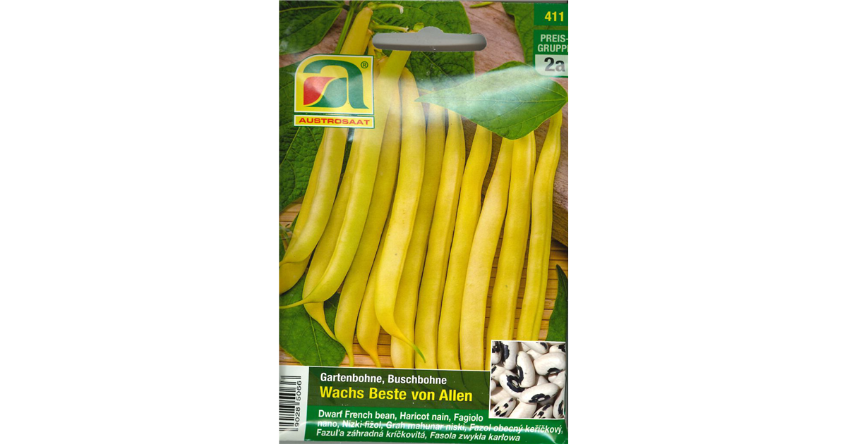 Chrestensen Buschbohne 'Wachs Beste Von Allen' Saatgut – Mittelspäte Sorte, Ohne Fäden, Für Garten