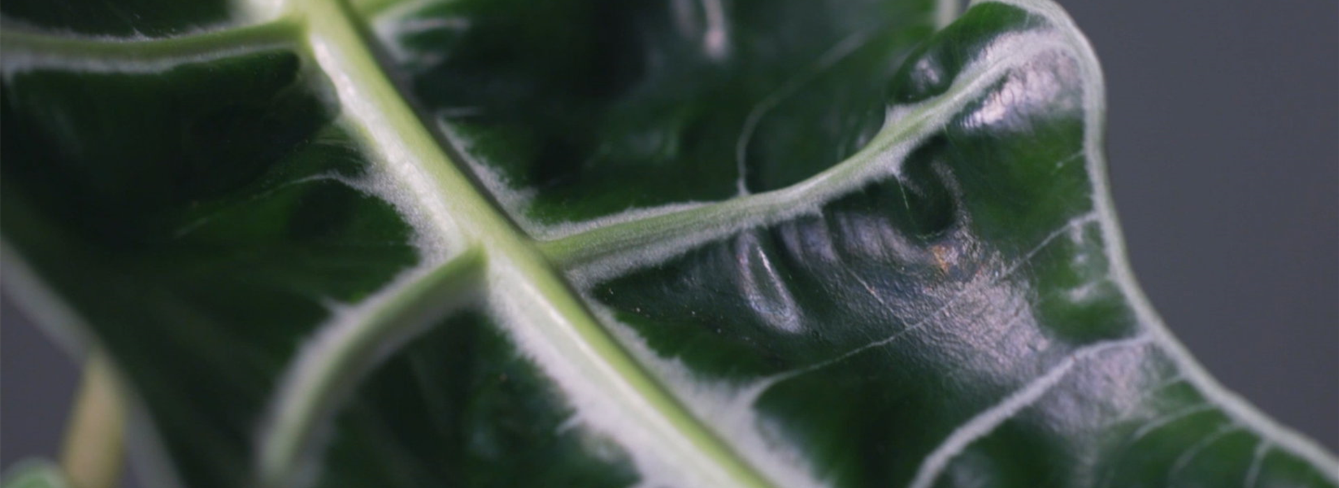 Ashampoo_Snap_Donnerstag, 23