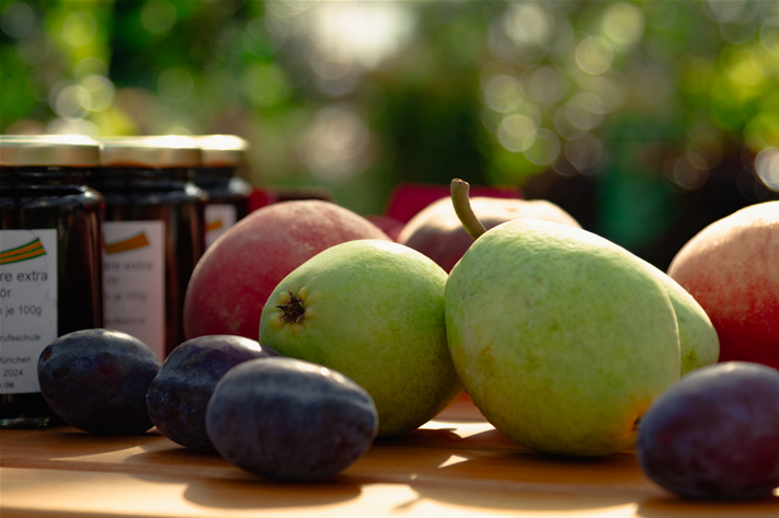 seebauer_Vitamninschätze Erntezeit-2.jpg