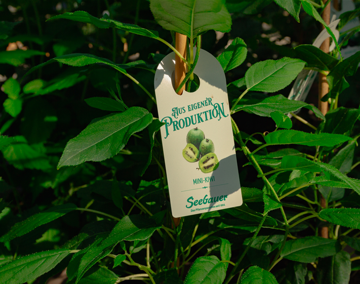 seebauer_Vitamninschätze Erntezeit-9.jpg