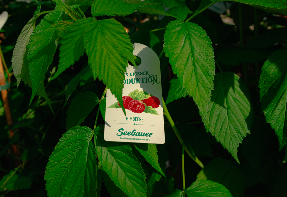 seebauer_Vitamninschätze Erntezeit-7