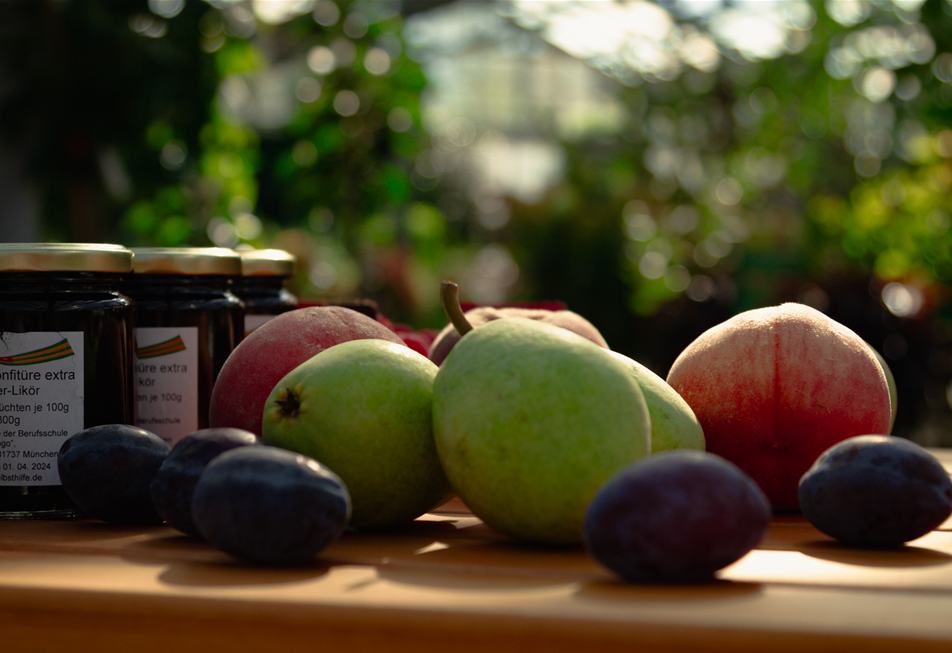seebauer_Vitamninschätze Erntezeit-3