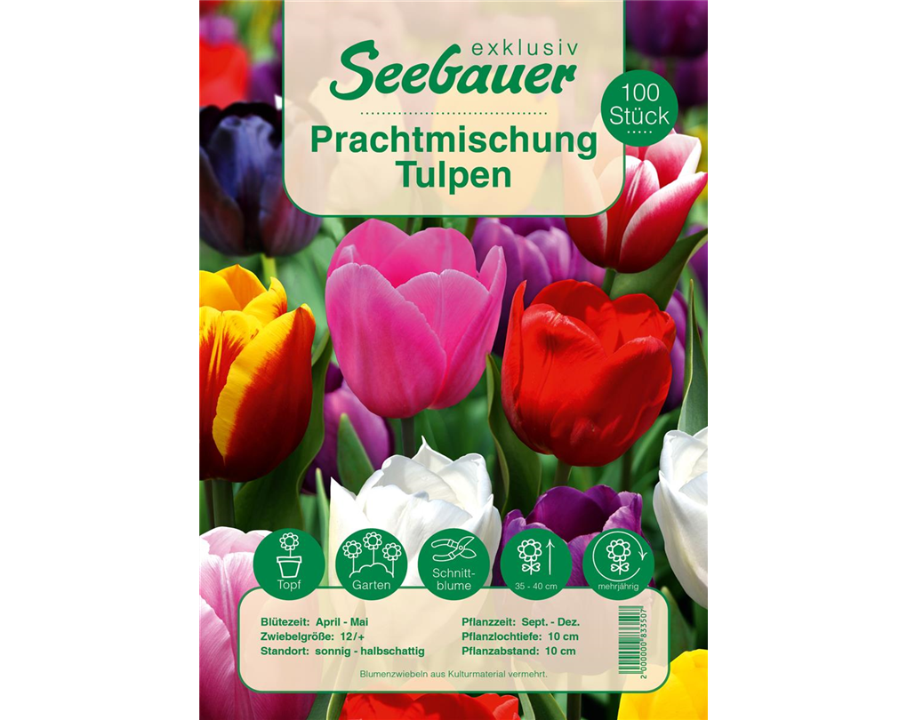 Tulipa bunt
