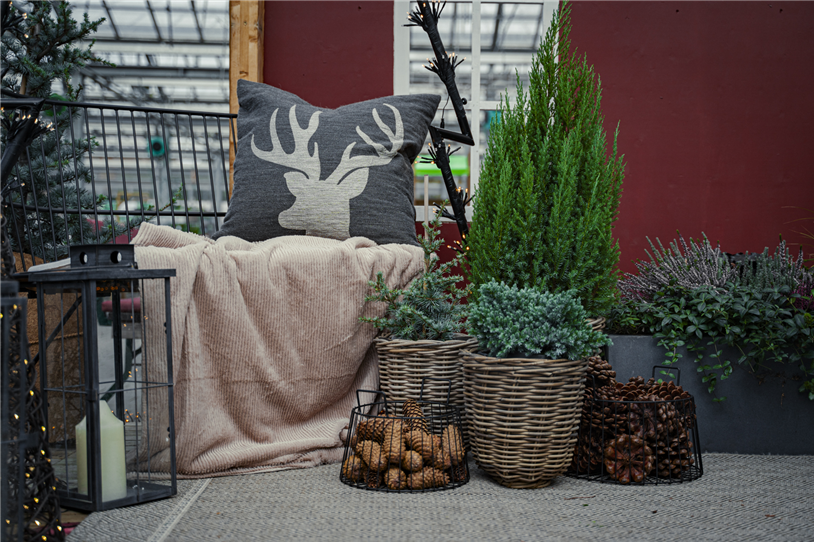 gartencenter-seebauer_winterbalkon-8.jpg