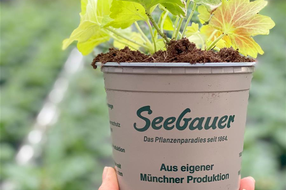 Seebauer-Töpfe.jpg
