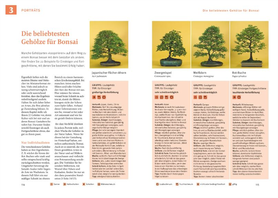 Bonsai ziehen, gestalten und pflegen, Schritt fr Schritt zum Bonsaiprofi -  Seebauer