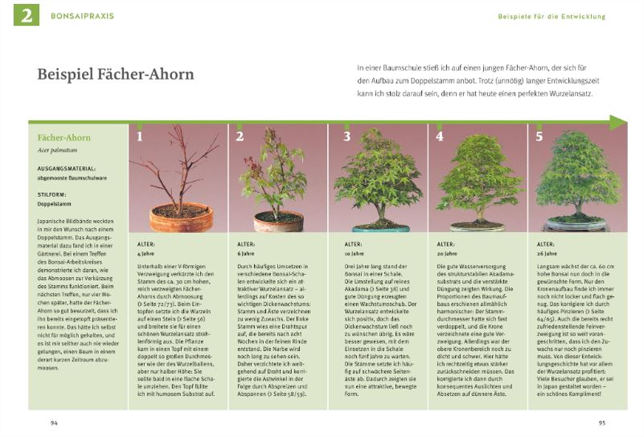 Bonsai ziehen, gestalten und pflegen
