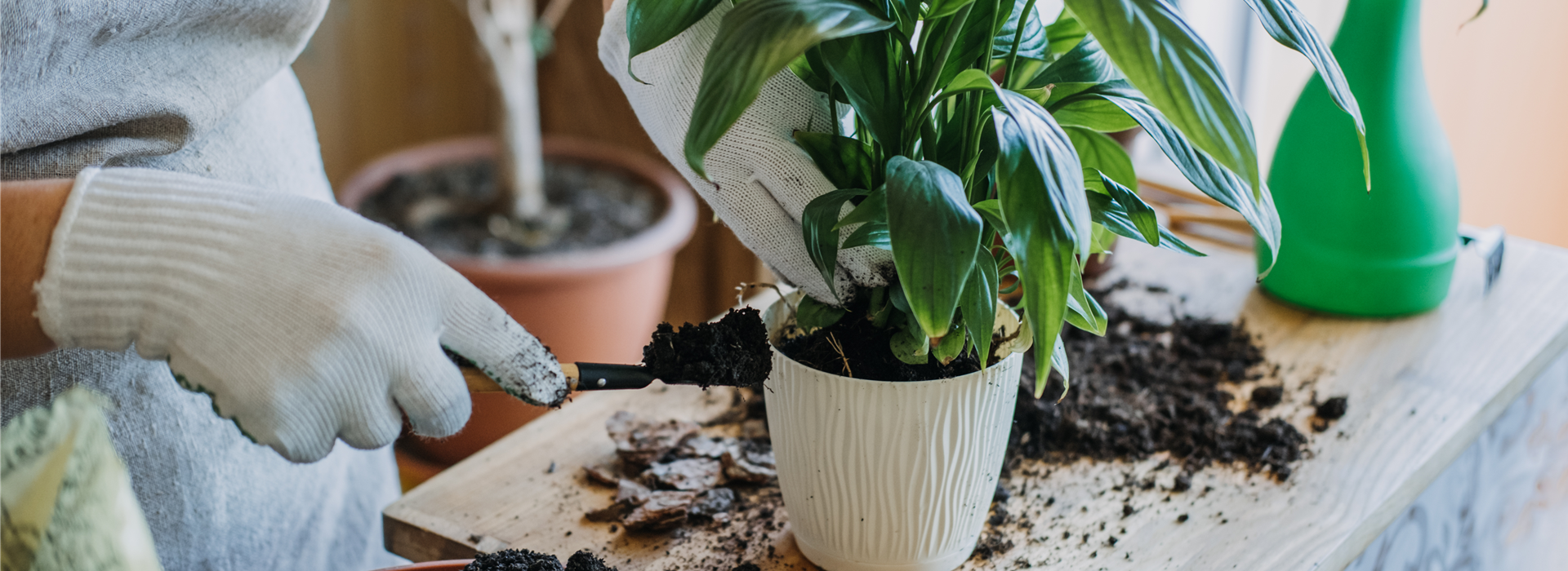 AdobeStock_408599299