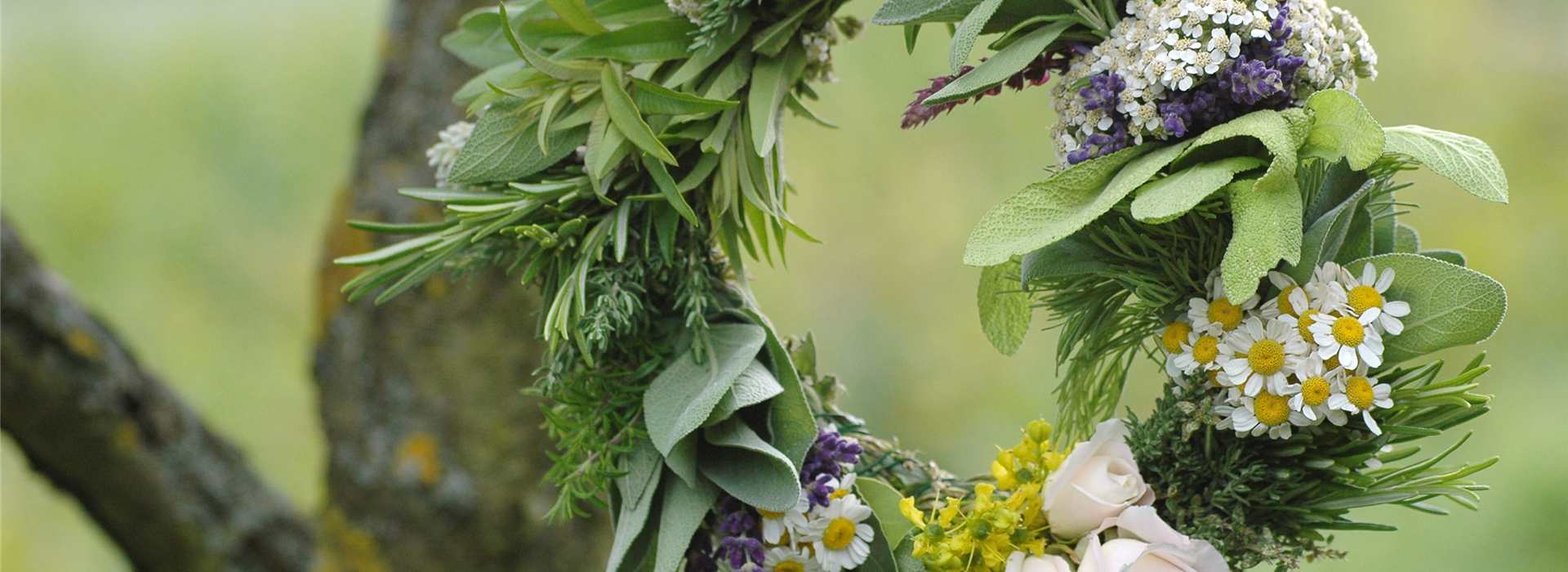 AdobeStock_247314216