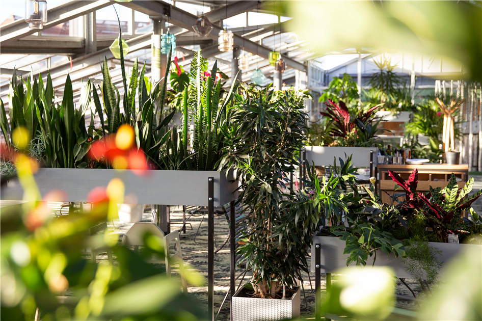 Galerie-Café Seebauer