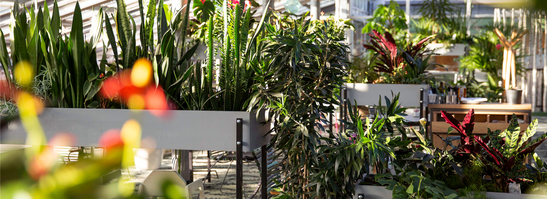 seebauer-gartencenter-muenchen-138