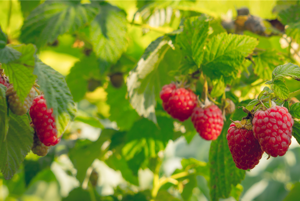 AdobeStock_114873347.jpeg