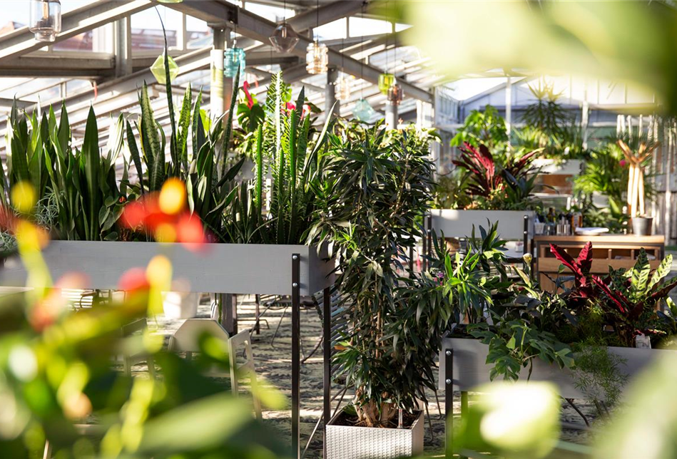 seebauer-gartencenter-muenchen-138.jpg