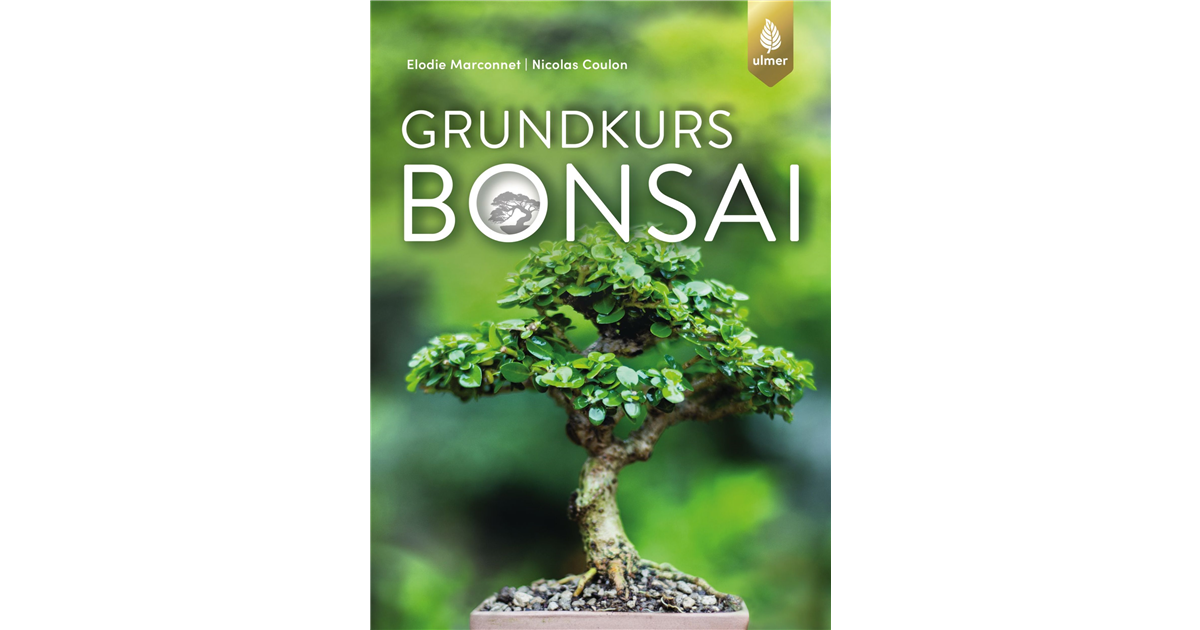 Grundkurs Bonsai - Seebauer