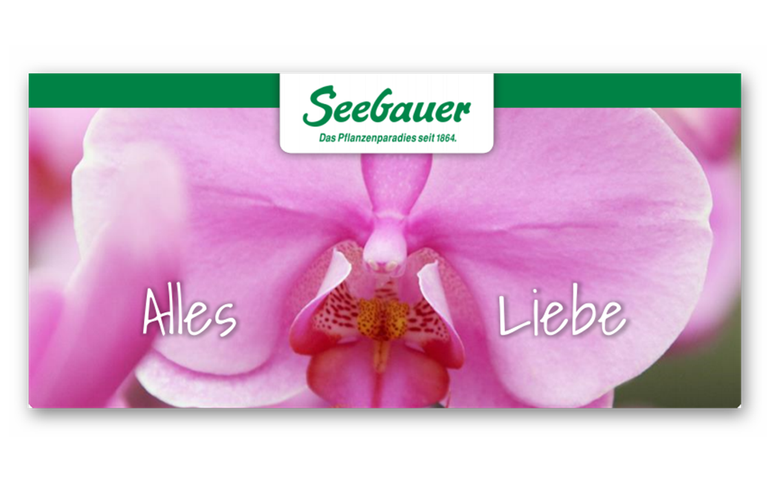 Seebauer Gutschein 4.png
