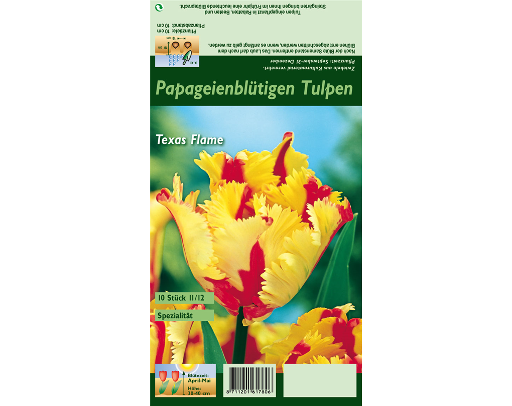 Tulipa 'Texas Flame' rot-gelb-grün