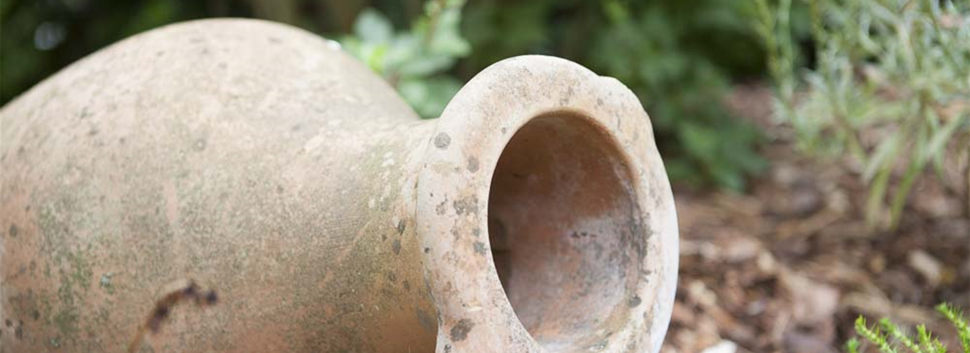Gefäße im Garten