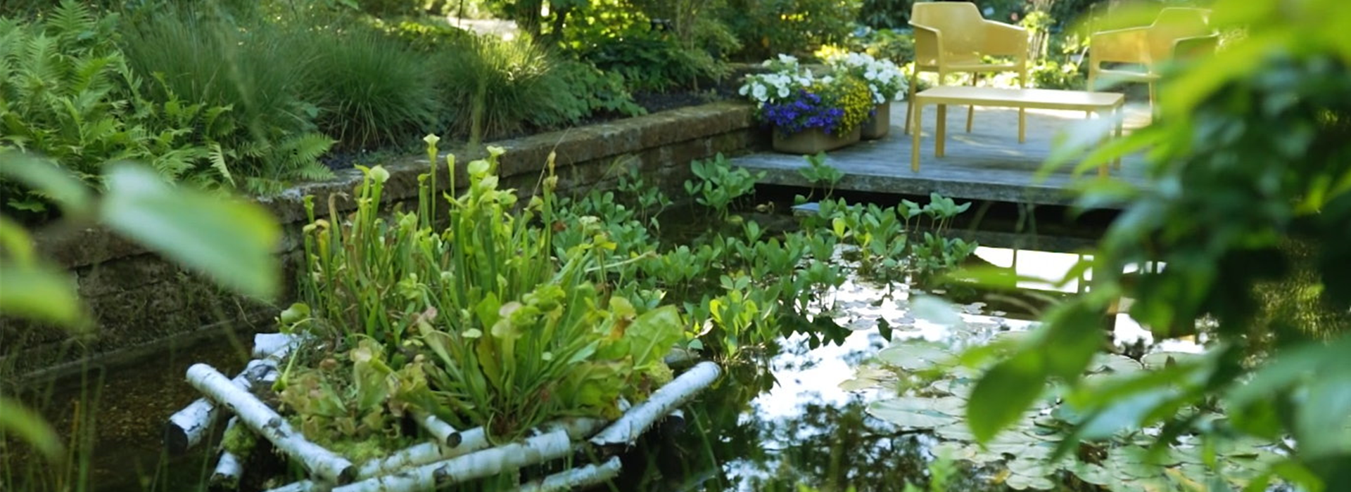 Gartengestaltung- Waldgarten (Thumbnail)