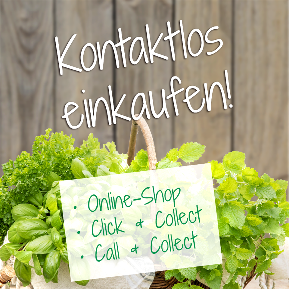 Kontaktloseinkaufen.png