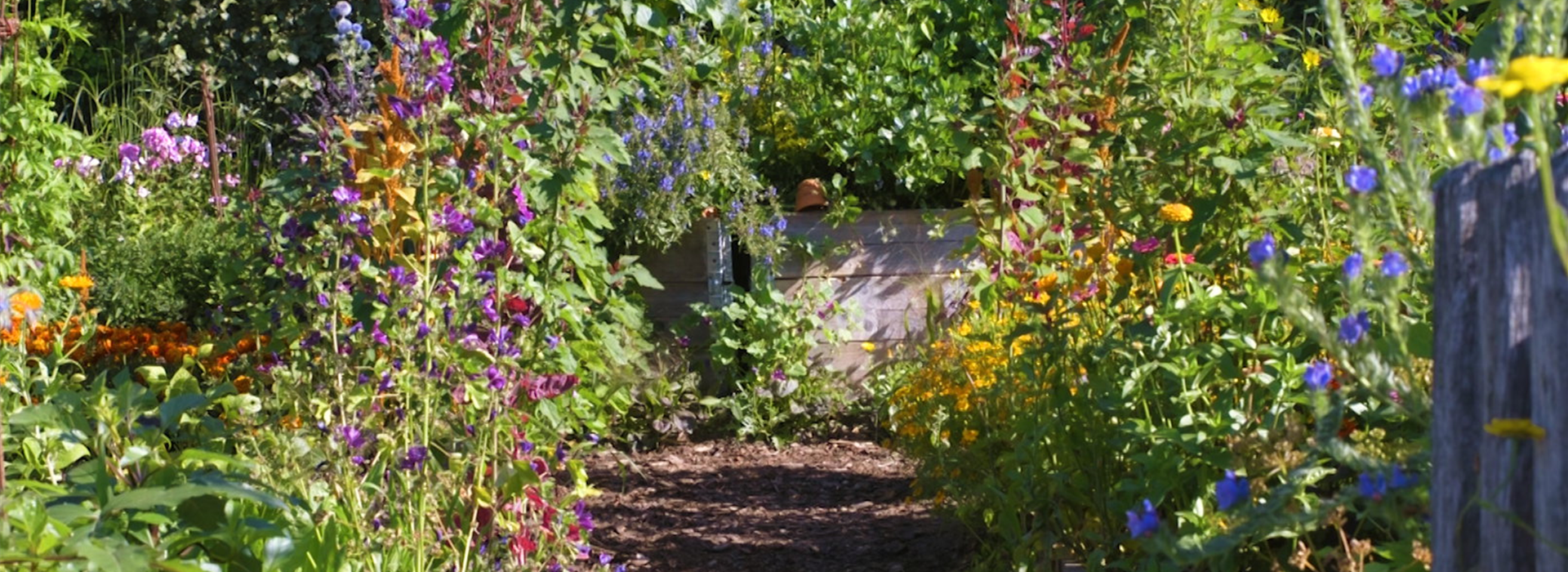 Gartengestaltung - Bauerngarten (Thumbnail)
